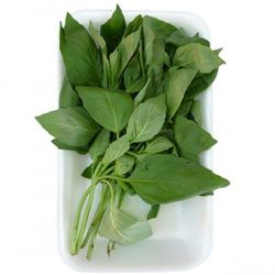 ALBAHACA BANDEJA 30G