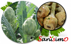 Alcachofa con tallo a la romana Sanisimo 420G