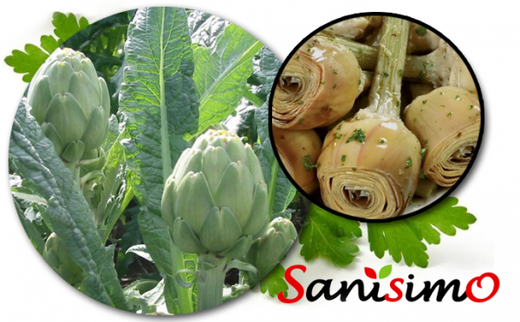 Alcachofa con tallo a la romana Sanisimo 420G