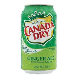 CANADA DRY GINGER ALE - REFRESCO DE JENGIBRE 33cl