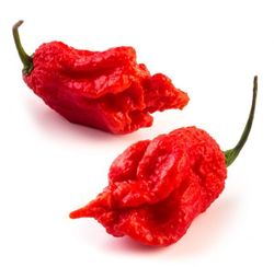 Carolina Reaper Chili Peppers seco  Scovilla 20gr