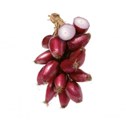 CIPOLLA ROSSA DI TROPEA IGP 1KG