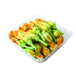 Flor de calabacín (origen Italia)