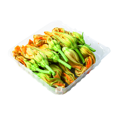Flor de calabacín (origen Italia)
