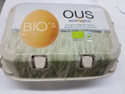 Huevos Ecológicos x 6 unidades