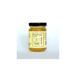 MERMELADA DE PIÑA Y COCO 170 GR. Gaudea gourmand