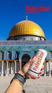 Palestine Cola 330ml