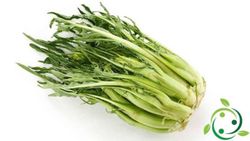 Puntarelle fresco 1kg
