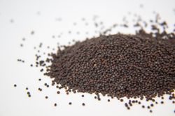 Semillas de Mostaza 100g schan