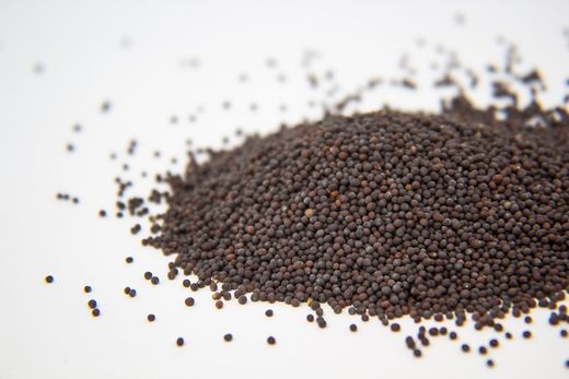 Semillas de Mostaza 100g schan