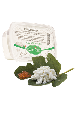 STRACCIATELLA DELIZIOSA 300G